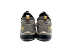 Puma Emergence Future