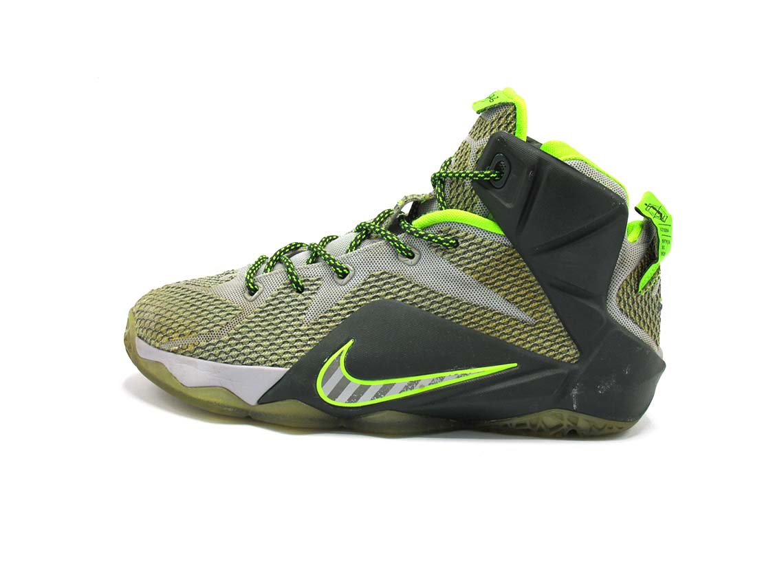 Nike LeBron 12
