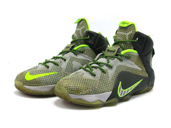 Nike LeBron 12